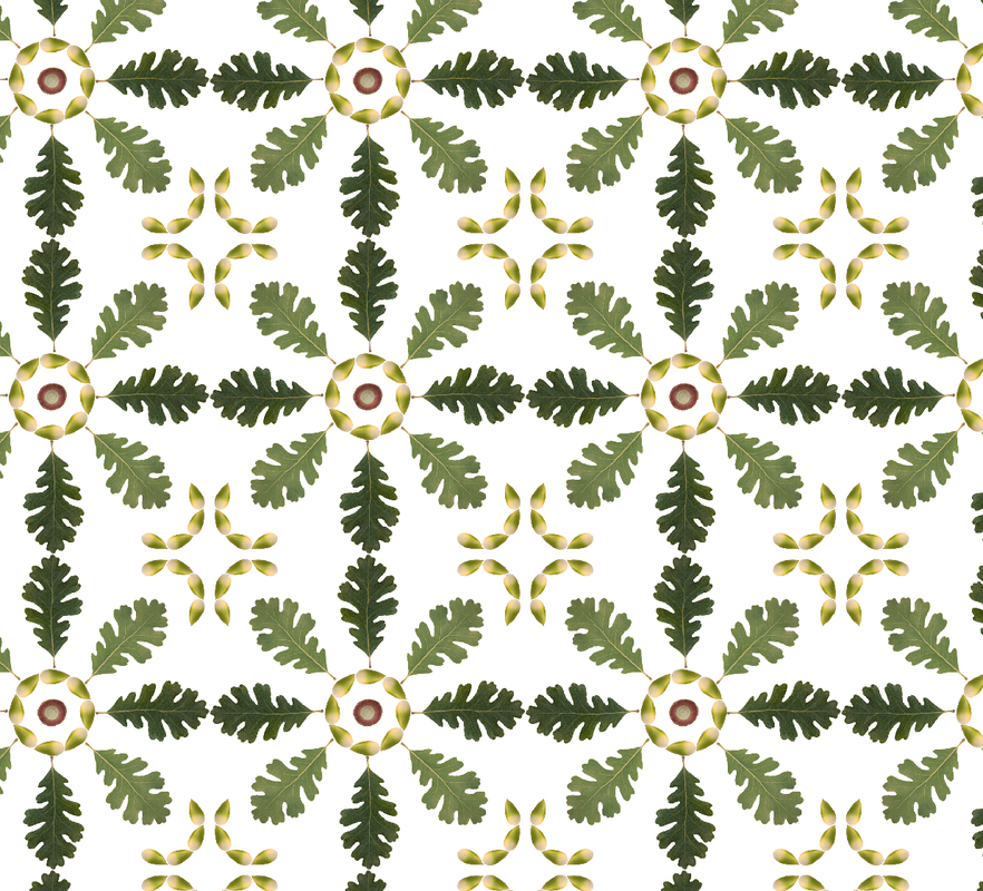 Oak Leaf Repeating Pattern, Tara Gill