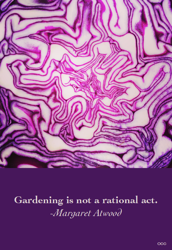 Gardening is not a rational act. -Margaret Atwood Photo and design by Tara Gill
