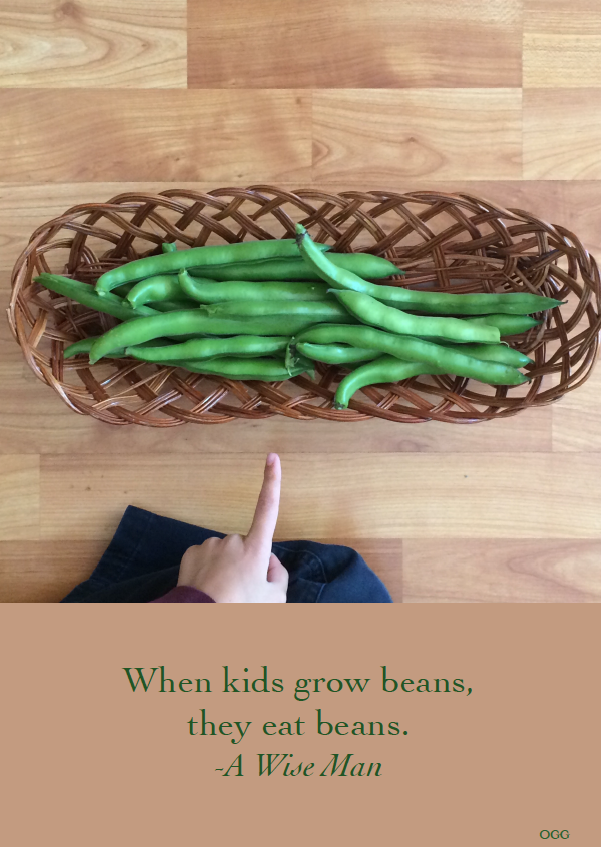 When kids grow beans, kids eat beans! -A Wise Man Photo and design by Tara Gill