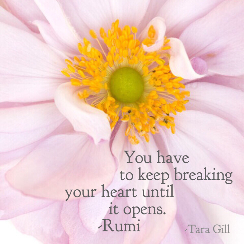 You have to keep breaking your heart until it opens. -Rumi