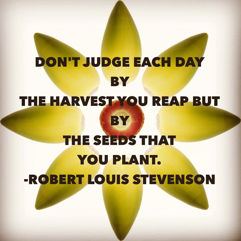Don't Judge each day by the harvest your reap but by the seeds that you plant. 