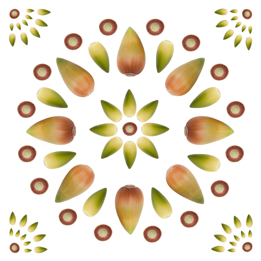 A delightful pattern made of acorns of varying colors and the upturned cap, by Tara Gill