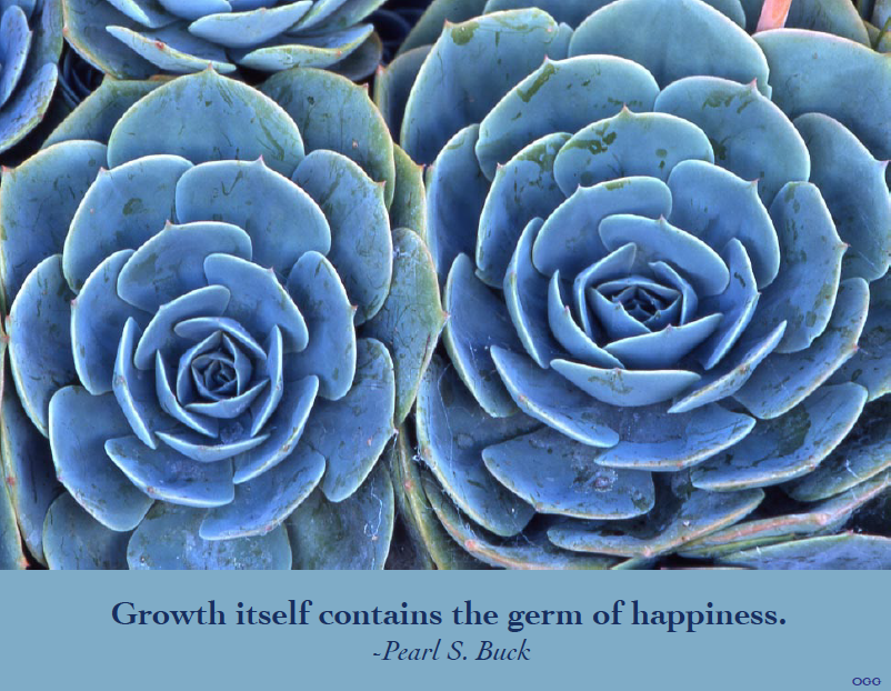 Growth itself contains the germ of happiness. Pearl S Buck photo and design by Tara Gill