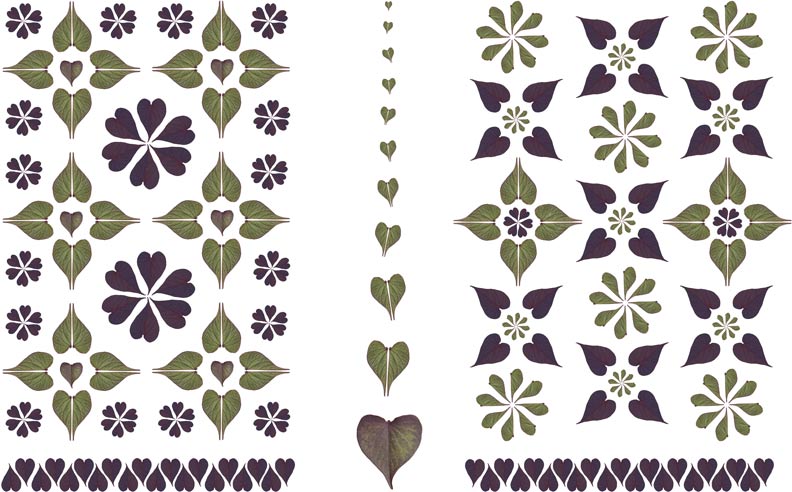 A flag design made of sweet potato leaves shaped like hearts. By Tara Gill, Patterns of Growth